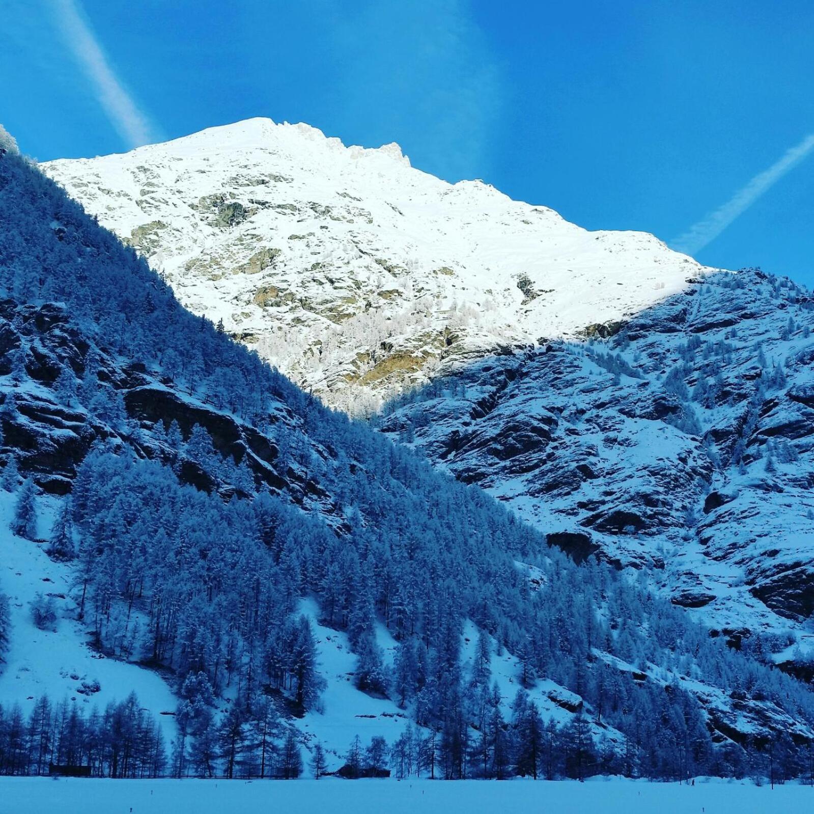 Monte Rosa Taesch, Apartments Mit Wellness Bereich 외부 사진